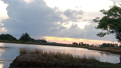 The image depicts a tranquil natural scene in Keude ie Leubeue, Indonesia. A calm body of water, likely a pond or lake, occupies the foreground and midground, reflecting the overcast sky. The water is bordered by a low embankment with dry grass and vegetation. In the distance, a lush, green treeline stretches across the horizon, interspersed with a few scattered trees and what appear to be small buildings. The sky is filled with dramatic, grey clouds, but a sliver of bright, warm-toned light, indicative of a sunset or sunrise, breaks through near the horizon, casting a gentle glow. A large tree with dark green foliage is prominent in the upper right portion of the frame, its branches reaching into the sky. No people are visible in the image.
