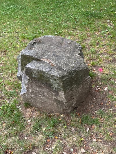 The image shows a large, irregularly shaped grey boulder resting on a patch of grass and soil. The boulder has a rough texture and is partially covered in lichen. Some dry leaves are scattered on the ground around the rock. The grass appears to be green and somewhat patchy, with some areas of exposed soil. A single bright pink flower petal is visible on the grass to the upper left of the boulder. The lighting suggests it is daytime, possibly with dappled sunlight given the shadows cast. The overall scene is natural and appears to be an outdoor setting, consistent with a park or garden environment. No people or text are visible in the image.