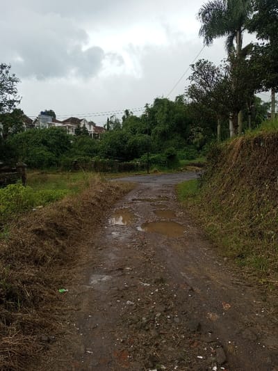 A muddy, pothole-filled dirt road stretches into the distance under a cloudy sky. Lush greenery and tall trees line the sides of the path, partially obscuring houses in the background. A grassy slope rises to the right, contrasting with the dry vegetation on the left. Pools of water reflect the overcast sky, highlighting the uneven terrain. The road appears worn and neglected, suggesting a rural or undeveloped area.