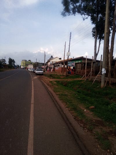 The scene depicts a rural or semi-urban roadside environment in Nachu ward, Kenya, viewed from a slightly elevated position looking down a two-lane asphalt road.
On the left, the asphalt road features a faded white solid line marking the outer edge of the lane. Several vehicles are parked along the road's left shoulder, including a white SUV/pickup truck in the foreground, followed by a white sedan, and other indistinct vehicles further back. A large white truck container is visible in the distance. Beyond the road, several multi-story buildings, including one with green and yellow accents, are visible under an overcast sky.
On the right, an unpaved dirt and grassy verge separates the road from a row of commercial structures. Prominent in the midground is a single-story building with a green signboard reading "ANIMAL FEEDS." Below the sign, several blue, red, and yellow gas cylinders are displayed. The building appears to be of mixed construction, with a patterned facade (black and white) to its left. Adjacent to it, a rudimentary fence or structure made of wooden poles and planks is visible. Multiple wooden utility poles with overhead power lines run parallel to the road. A streetlight is attached to one pole further down the road. Several tall, slender trees with dark foliage stand on the far right, partially framing the scene. The ground is uneven, with patches of dirt and green grass. Indistinct human figures are visible near the parked vehicles and shops.