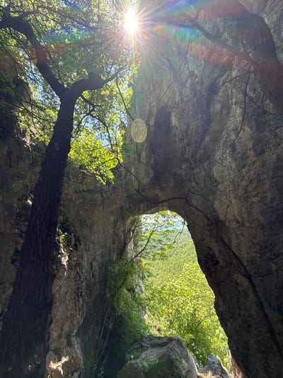 A low-angle shot looking up at a rock overhang or cave formation in Lipnitsa, Bulgaria. Light, possibly sunlight, shines through the opening of the overhang and between the trees in the foreground. Tree branches appear within the formation and above the large rock formation. In the distance, vegetation covers other rocks. The texture of the rock is uneven and rugged, with various cracks and crevices.