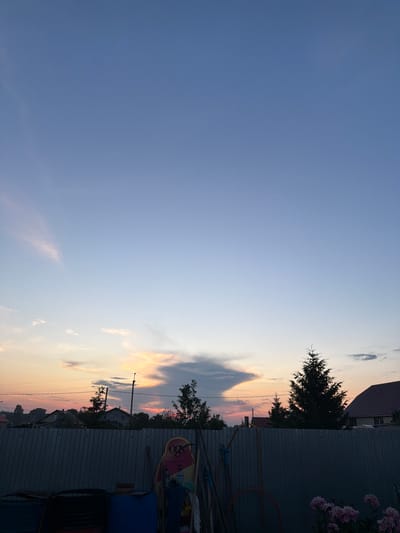 The image shows a rural landscape at sunset in Nizhniy Suyk-Su, Russia. The sky is a gradient of blue and pink, with a few wispy clouds. In the foreground, a gray corrugated metal fence runs horizontally across the frame. Behind the fence, there are several trees, including a tall evergreen on the right side, and houses with red roofs. To the left of the evergreen tree, a smaller evergreen is visible.

In front of the fence, various objects are stored, including two black barrels, a blue barrel, and a blue plastic container on the left. A tall, narrow object with a rounded top and colorful markings, possibly a surfboard or similar item, leans against the fence. Several gardening tools, including a rake and a hose, are also visible. In the bottom right corner, a cluster of pink peonies is in bloom. The overall impression is of a quiet, domestic scene at the end of the day.