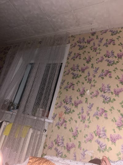 The image depicts an interior scene, likely a bedroom, with a focus on the wall and window area. The wall is covered in floral wallpaper featuring light purple and pink lilacs against a cream-colored background. The ceiling appears to be made of textured white tiles. A window is visible, partially obscured by a sheer white lace curtain. Through the curtain, the window frame and glass are discernible, with a hint of outdoor darkness. On a surface near the window, there are a few potted plants and two yellow cloths draped over a white radiator. The lighting is dim, suggesting an indoor setting at night or in low light conditions. A foot is visible in the bottom right corner of the image, resting on a patterned bedspread. The overall impression is of a modestly furnished room. While the location is specified as Shumilina, Belarus, there are no specific visual cues within the image that confirm this geographical detail.