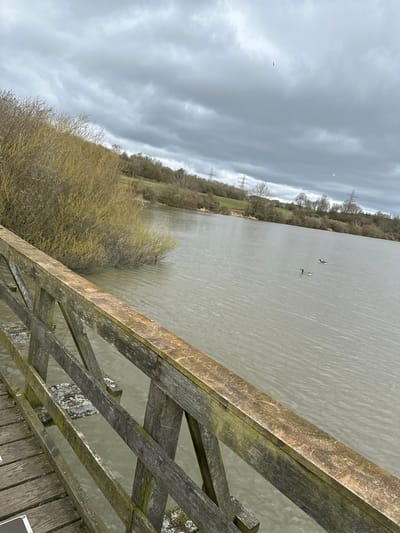 The image presents a landscape scene from what appears to be a high vantage point, possibly a bridge or elevated platform in Dunfermline, United Kingdom. The weather is overcast, with a cloudy sky occupying a significant portion of the frame. A body of water stretches horizontally across the scene, with two birds visible on the water surface. The shoreline features trees and vegetation, indicating a natural or semi-natural environment. Power lines are visible along the shoreline on the far side of the river. A wooden railing or fence is in the foreground, partially obscuring the view and adding depth to the composition. The wood appears weathered and aged, with signs of lichen or moss growth. No people are visible in the frame.
