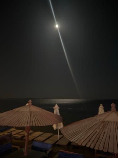 The image captures a serene nighttime scene on a beach in Dahab, Egypt. The sky is dark and clear, showcasing a prominent, bright moon in the upper left quadrant of the frame. The moonlight casts a distinct, shimmering path across the calm sea, which occupies the middle-right section of the image, leading from the horizon towards the foreground.
In the foreground and to the right, two large beach umbrellas (parasols) are partially visible. These umbrellas appear to be constructed from wooden slats or a similar natural material, fanning out in a radial pattern. One umbrella is closer to the viewer, while the second is further back. Faint outlines of beach furniture, such as chairs or loungers, are discernible beneath and around the umbrellas, with hints of blue fabric or cushions on some.
No people are present in the scene, contributing to a peaceful and quiet ambiance. The moon is the primary light source, illuminating the water and creating a tranquil nocturnal landscape. There is no visible text in the image.