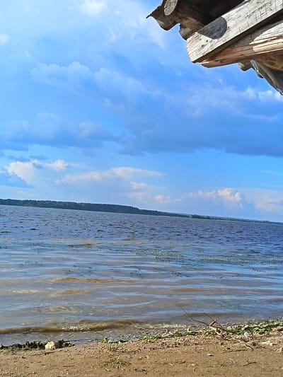 This is a photograph of a body of water, likely a lake or river, as seen from a sandy shoreline. In the foreground, there is a dry, sandy bank with scattered pebbles, small green weeds, and a few dry twigs. The water itself is a deep blue-grey with visible ripples and some lighter, more translucent patches indicating shallow areas or reflections. There are some greenish aquatic plants visible near the shore. In the middle ground, across the water, a dense line of green trees forms the distant shoreline. Above the water, the sky is a vibrant blue with scattered white and grey clouds. The top right corner of the image shows a section of a wooden structure, possibly a roof overhang, made of rough-hewn logs. The photograph appears to have been taken on a clear, sunny day. The location is identified as Verkhniye Yemangashi, Russia.