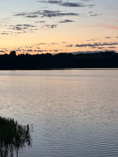 This is a vertical, eye-level photograph of a calm lake at dusk. The sky transitions from a pale blue at the top to soft orange and pink hues closer to the horizon, with scattered, wispy gray clouds. A dark, silhouetted line of trees forms the treeline on the far bank of the lake. The water's surface is rippled, reflecting the muted colors of the sky. In the lower left corner, a cluster of tall green reeds stands in the water. The location is the Chmielno Lake in Chmielno, Poland. There are no people or animals clearly visible in the image.