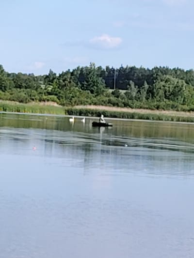 The image shows a calm, reflective body of water with a shoreline covered in lush green trees and reeds under a bright blue sky with scattered clouds. In the foreground, the water is mostly smooth, with some ripples visible. On the water, approximately in the middle ground, a person is seated in a small, dark-colored boat. The person is wearing a white top and appears to be fishing or engaged in a recreational activity. Further to the left on the water, two white birds, possibly swans or ducks, are visible. The background consists of a dense line of trees forming the distant shore, with a few taller trees and structures, potentially telephone poles, interspersed. The overall scene depicts a tranquil natural environment within or near Заямнаўскі сельскі Савет, Belarus.