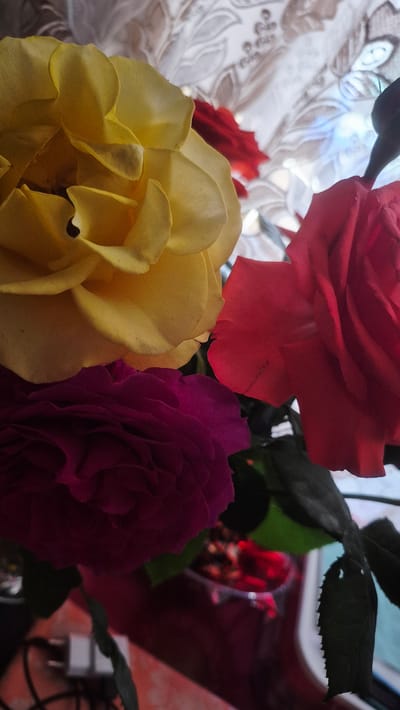 The image shows a close-up of three roses: one yellow, one red, and one magenta. The roses are in the foreground, with a blurred background that appears to be a patterned fabric or curtain. There are also hints of dark green leaves visible. The lighting suggests it is daytime. The image is taken from a slightly elevated angle, looking down onto the flowers. There are no people or discernible elements of the city of Troițcoe, Moldova present in the image.