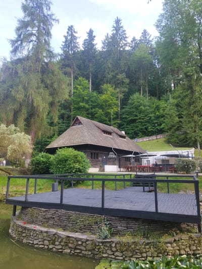 This media file depicts an outdoor scene in a wooded area, likely a resort or a park, in Predeluț, Romania. The focal point is a rustic wooden building with a dark, shingled roof, featuring multiple windows and a prominent gable. In front of the building, an outdoor seating area with tables and umbrellas suggests a restaurant or cafe. A dark wooden deck with a railing extends over a body of water, which appears to be a pond or lake.
The surrounding landscape is lush and green, dominated by tall coniferous trees and a dense forest that covers a hillside in the background. The time of day appears to be late morning or early afternoon, with diffused natural light indicating overcast or partly cloudy skies. The overall atmosphere is tranquil and serene, evoking a sense of peace and connection with nature.
There are a few people visible in the scene: two individuals are walking near the building on the left, and another person is seated at one of the outdoor tables. A person is also seen walking up a grassy slope on the right side of the image, along a red-railed path. The presence of these individuals suggests that the location is open to visitors and offers recreational opportunities.
The wooden building, the outdoor seating, and the natural setting all contribute to a picturesque, slightly old-fashioned aesthetic. The stone foundation of the deck adds a touch of ruggedness, complementing the natural elements. The water at the bottom of the frame has lily pads, further enhancing the natural ambiance. No visible text is present in the image.