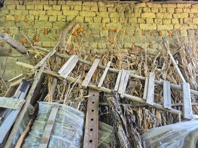 A close-up, ground-level, interior view of a rustic structure in Sadina, Bulgaria, reveals a wall constructed from mud-brick and a pile of dried corn stalks and lumber. The mud-brick wall, roughly textured and yellowish-tan in color, has irregular, protruding orange-colored elements spaced intermittently across its surface. Several lengths of red string are strung horizontally across the wall, supporting some of the orange protrusions. A collection of dried corn stalks, some still attached to their husks, is piled high in front of the wall. Mixed within the corn stalks are various pieces of weathered wood, including planks and branches, forming a haphazard stack. A section of rusty metal with several circular holes is visible leaning against the corn stalks. At the bottom of the frame, two large bundles wrapped in translucent plastic sheeting are partially visible. The overall impression is one of storage or shelter for agricultural remnants.