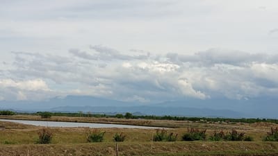 This is a landscape photograph taken in Tanjong Krueng, Indonesia, on a cloudy day. The foreground consists of dry, cultivated earth with sparse vegetation, including several bushes with reddish-brown foliage. In the midground, a calm body of water, possibly a pond or lake, stretches horizontally across the frame. Beyond the water, a flat expanse of land is dotted with trees and appears to be a rural or agricultural area, with a few small structures visible in the distance. A distant mountain range forms the backdrop, its peaks softened by the overcast sky. The sky is filled with a dramatic display of cumulus clouds, ranging from bright white to dark gray, suggesting a potential for rain. The overall impression is one of a natural, undeveloped environment under a dynamic sky.