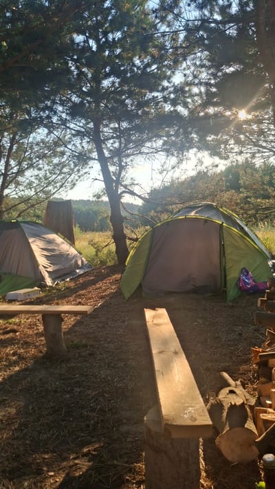 The image depicts a campsite situated in a wooded area with sunlight filtering through the trees. Two tents are visible: one is a grey and silver tent set up on the left, and a green and yellow tent is pitched in the center right, with its entrance open. A wooden bench is positioned in the foreground on the left, and another wooden plank rests on a log in the foreground right. In the background, a dense forest stretches across a gentle slope under a clear sky. The overall scene suggests a serene outdoor environment likely within the Навасвержанскі сельскі Савет, Belarus, during daylight hours.