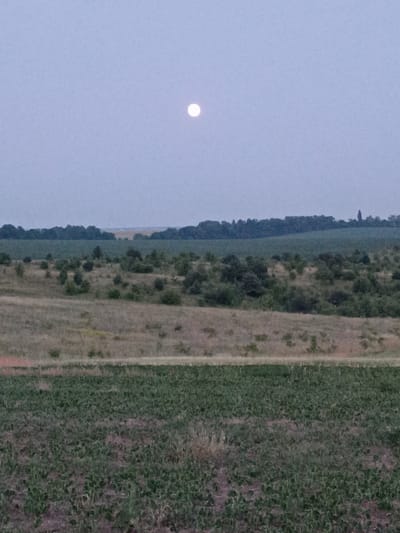 A full moon is visible in the pale blue sky above a rural landscape. The foreground features a field of green crops, possibly young plants. Beyond this field, the terrain rises, covered in dry grass and scattered bushes and trees. Further in the distance, a row of trees forms a dark line across the horizon, with a hint of a cultivated field behind them. The overall scene depicts a serene, natural environment under the soft light of the moon, likely in the outskirts of Lozova, Ukraine. There are no people or animals visible in the image.