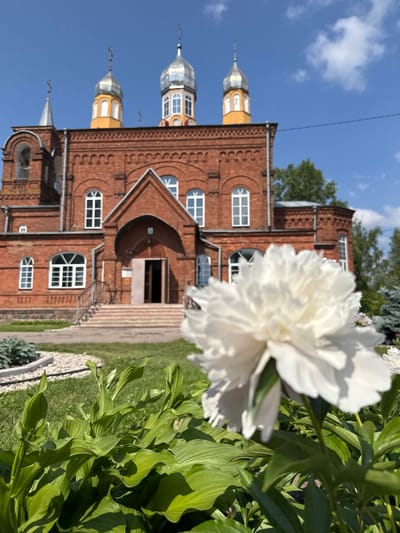 A bright, sunny day illuminates a red brick Orthodox church with a bell tower and three silver onion domes topped with crosses. The church has arched windows and a set of stairs leading to an open entrance. In the foreground, a large white peony flower is in focus, with lush green hosta plants below it. The background features trees and a clear blue sky with scattered clouds. This scene is captured in the city of Chudovo, Russia.