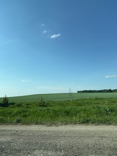 The image shows a rural landscape. A blue sky with scattered clouds occupies the left half of the frame. The right half consists of a green field or meadow, bounded by a line of trees in the distance. A gravel or dirt road runs along the right edge of the image, adjacent to the green field. There are electrical poles visible in the field. The location is Semenovo, Russia. There are no people depicted in the image.