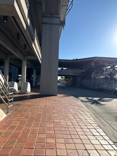 An eye-level shot looking up reveals a cityscape with a mix of architectural styles. A brick-tiled walkway borders a modern building with palm trees casting shadows on the pavement. Above, a concrete structure intersects with a metal framework, possibly part of a bridge or elevated walkway. The sky is a clear blue, with a bright sun in the upper left corner of the frame.