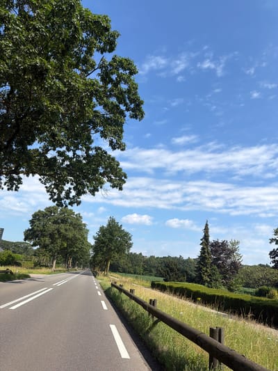 The image shows a two-lane road with white markings, flanked by grassy shoulders and wooden fences. Tall trees line the right side of the road, with a dense green hedge and fields in the background. The sky is blue with scattered white clouds. In the foreground on the left, a large tree with green leaves partially obscures the view. The scene appears to be a rural road in Baarle-Nassau, Netherlands, under a bright sky.
