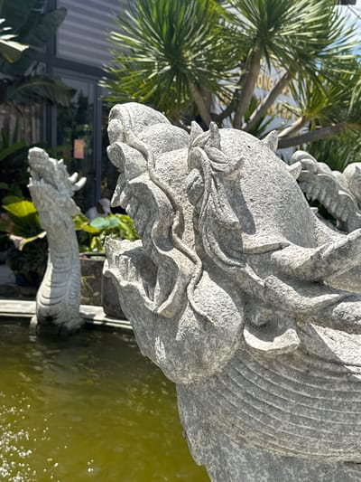 This is a close-up, vertically oriented photograph of a stone dragon statue, likely part of a fountain or decorative water feature. The dragon's head is prominently featured in the foreground, carved from rough-textured grey stone, with intricate details in its mane and facial features. Behind it, another section of the dragon sculpture is visible, seemingly submerged in a pool of murky green water. The water is disturbed, with light reflecting off its surface, suggesting movement or a bubbling effect.
In the background, lush green palm fronds and other tropical foliage are visible, indicating a warm, sunny environment. A building with a reflective surface, possibly glass, can be seen behind the foliage. There is some text on the building, but it is partially obscured and difficult to read, though "ONG" is discernible, possibly part of a name or sign. The overall impression is of an outdoor setting in a tropical or subtropical location, likely during the daytime given the bright sunlight casting shadows on the stone. The image conveys a sense of artistry and perhaps tranquility, despite the weathered appearance of the stone. The location is specified as Tuy An Nam, Vietnam.