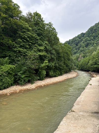 The image shows a river flowing alongside a wooded hillside and a concrete embankment. The river itself is a murky green color and appears to be flowing rapidly, with ripples and waves on its surface. The riverbank on the left side is lined with small, light-colored pebbles and dense green foliage. The hillside on the left is covered in a thick forest of tall, leafy green trees, suggesting a natural, undeveloped environment. The concrete embankment on the right is a pale, sandy color, with some rough textures and a few small patches of green vegetation growing in cracks. The sky is overcast, indicating a cloudy or potentially rainy day. The lighting is diffuse and even, suggesting it is daytime but not direct sunlight. The overall scene evokes a sense of nature and a possibly remote or rural location, with the concrete embankment hinting at some level of human intervention or infrastructure along the river.