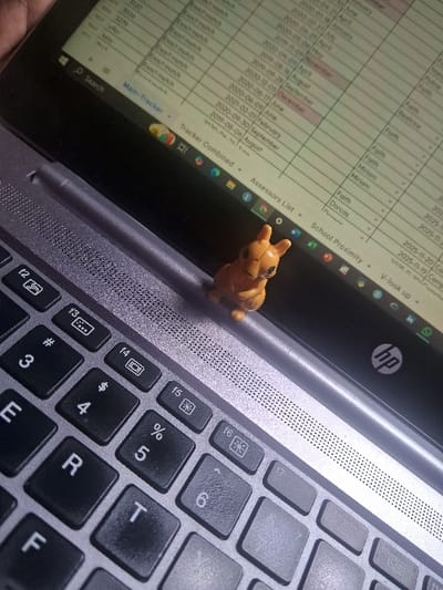 An angled, close-up view depicts an open silver HP laptop with a black keyboard, resting indoors in Muthambi ward, Kenya. A small, orange-brown plastic figurine, resembling a creature with pointed ears, is positioned centrally on the laptop's chassis, above the keyboard and below the screen, over a speaker grille. The laptop screen displays a spreadsheet or database interface, showing rows and columns of data including dates (e.g., "2020-01-27 January", "2021-02-01 February"), names (e.g., "Faith", "Miriam", "Dorcas"), and text such as "Exact match". Visible labels on the software interface include "Main-Tracker", "Tracker Combined", "Assessors List", and "School Proximity". A portion of the laptop's black keyboard, displaying keys like 'F', 'R', 'E', '3', '4', '5', '6', and function keys 'f3' through 'f6', is also visible. No people are present.