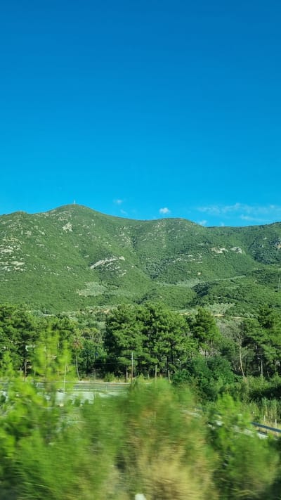 The image shows a mountainous landscape under a clear blue sky. The mountains are covered in dense green vegetation, with some lighter patches indicating rocky terrain. A small structure, possibly an antenna, is visible on the summit of the highest peak. In the foreground, a line of trees, including pine trees, forms a visual barrier, with a blurred, out-of-focus effect suggesting movement, likely from a vehicle. A road with a barrier can be seen behind the trees, with streetlights and utility poles interspersed. The environment appears natural and rural, with no people or specific structures identifiable beyond the road and antenna. The scene is consistent with the geography of the Municipal Unit of Ampelakia in Greece, known for its mountainous terrain and greenery.