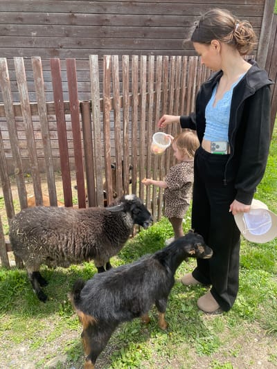 An outdoor scene in Timofeevka, Russia, depicts a woman and a young child engaging with farm animals at what appears to be a petting zoo or animal enclosure. The image is captured from a slightly elevated perspective, looking down into the animal pen on a bright, sunny day.
In the foreground, two main animals are visible: a dark, shaggy sheep or woolly goat and a black and tan goat, both standing close to a wooden fence, seemingly eager for food. Other smaller animals are partly visible further back within the enclosure.
A woman, dressed in a black zip-up jacket over a light blue lace crop top, black pants, and light-colored boots, stands next to the fence. Her hair is styled in a messy bun, and she holds a light-colored bucket hat (with "Calvin Klein" faintly visible) in one hand. A smartphone is tucked into her jacket pocket.
Beside her, a young child wearing a leopard-print dress actively feeds the animals. The child holds a clear plastic container filled with cut fruit, likely apples or pears, extending a hand over the wooden barrier to offer treats to the animals.
The setting features a sturdy wooden fence constructed from vertical and horizontal planks, separating the people from the animals. Grass is visible on the ground within and outside the enclosure. The bright, direct sunlight suggests it is daytime, likely midday or afternoon, creating a clear and pleasant atmosphere for the interaction. The scene conveys a gentle and engaging moment of animal feeding.