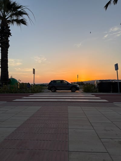 In Grao, Spain, a dark SUV is captured mid-transit across a pedestrian crossing during sunset. The sky displays a gradient of pale blue and soft orange hues, transitioning into a bright, vivid orange near the horizon where the sun is setting behind distant hills. A palm tree with drooping fronds is prominent on the left side of the frame, its dark trunk contrasting with the illuminated sky. A bird is silhouetted in flight against the sky. The pedestrian crossing features alternating red and white stripes, with tactile paving designed for the visually impaired visible on the sidewalk. Other elements present include a dark green bin, bushes, a traffic sign, and a disabled parking sign. The foreground is composed of paving stones in varying shades of grey and red.