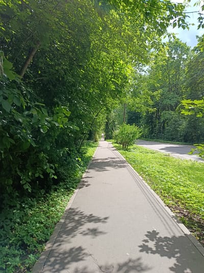 This media file depicts a sun-dappled asphalt pathway winding through a verdant park-like setting in Pavlovo, Russia. The pathway is bordered on the left by a dense wall of lush green foliage, composed of trees and undergrowth, casting dappled shadows onto the pavement. On the right, a strip of vibrant green grass and small plants, also illuminated by sunlight, runs alongside the path. Beyond the grass, a paved road is visible, suggesting the path is adjacent to a road or park drive. The background is filled with a variety of trees, creating a canopy that allows sunlight to filter through, creating the characteristic dappled light effect. The sky, visible in small patches through the leaves, appears to be a clear blue.
The scene suggests a peaceful, possibly early to mid-morning or afternoon in late spring or summer, given the full foliage and bright sunlight. There are no people or explicit objects, focusing solely on the natural elements and the man-made pathway. The overall mood is serene and natural. The location cues, such as the style of the pathway and the types of trees, are consistent with a park or residential area in Russia. No text is visible in the image.