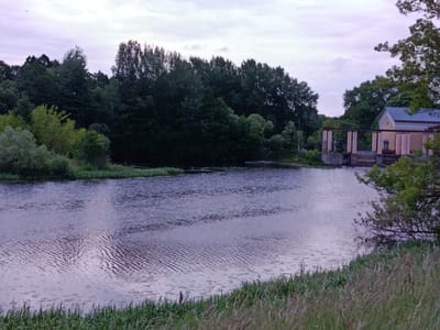 The image captures a serene, overcast scene of a calm body of water, likely a river or lake, with a lush green embankment in the foreground. The water surface reflects the muted colors of the sky and the surrounding trees, creating a soft, rippled texture. In the background, a dense line of dark green trees forms a natural border along the far bank. To the right, a light yellow building with a dark roof and prominent columns is visible, suggesting a man-made structure or park. The overall atmosphere is tranquil and natural, with a hint of architectural presence. The scene appears to be located in Lyepyel, Belarus, a city known for its picturesque natural landscapes and historical sites.