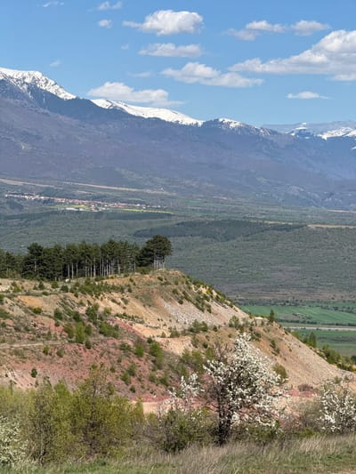 The image depicts a scenic view from Tsarvishte, Bulgaria, showcasing a mountainous landscape. In the foreground, there's a steep, rocky hillside with patches of reddish soil and sparse vegetation, including flowering trees with white blossoms. A line of evergreen trees grows partway down the hillside. In the middle ground, there's a valley with varying shades of green vegetation, likely forested or agricultural areas. A thin strip of town, likely Tsarvishte, can be seen within the valley. The background features snow-capped mountains under a blue sky with scattered white clouds. The photograph appears to be taken on a clear, sunny day.