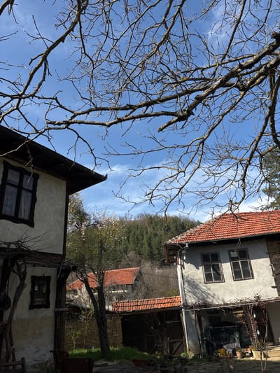 The image shows a view in Gorno Trape, Bulgaria. The sky is visible with a few clouds. Leafless tree branches are present in the foreground. In the background, there are buildings with red tile roofs. There's a forested area with green trees. The buildings have light-colored walls with dark window frames. There appears to be foliage growing on some of the structures.