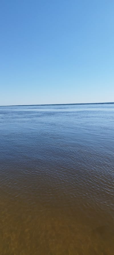 The image depicts a serene natural landscape with a vast expanse of calm water under a clear blue sky. The water appears shallow near the foreground, with a murky, brown hue and subtle ripples distorting the sandy or muddy bottom beneath. As the water recedes towards the horizon, it transitions to a deeper, more translucent blue. The horizon line is sharp and well-defined, separating the water from a distant, faint landmass or treeline. The sky is a uniform, bright blue, devoid of clouds, suggesting fair weather. The overall impression is one of tranquility and openness, with the natural elements dominating the scene. This scene is consistent with a view of the Lena River in or near Mokhsogollokh, Russia, a location known for its broad waterways and expansive natural surroundings. There are no people, animals, or man-made structures visible in the image.