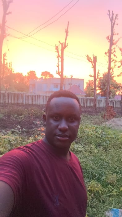 The image presents an outdoor scene in the city of Longuo 'A', Tanzania, likely during sunrise or sunset given the sky's coloration. An adult male of dark complexion with short, dark hair is positioned in the foreground, captured in a selfie. He wears a maroon V-neck t-shirt with a small, darker emblem on the left chest and looks directly at the camera with a neutral expression. The background features a sky transitioning from pink-purple at the zenith to bright yellow-orange near the horizon. The immediate foreground and midground are characterized by dense, unkempt green vegetation, including a dark, muddy patch to the left. A light-colored concrete wall spans the mid-distance, behind which stands a two-story building with light-colored walls and a reddish-brown tiled roof. Multiple tall, bare, or pollarded trees are silhouetted against the colorful sky, and a pile of red bricks is visible on the ground to the right of the wall. Thin wires are discernible across the upper portion of the sky.