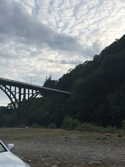 This media file captures a view of a large, arched bridge amidst a lush, tree-covered landscape. The bridge's dark, robust structure, composed of beams and supports, stands in contrast to the vibrant green foliage that blankets the steep incline behind it. The sky above is filled with a dynamic display of clouds, ranging from wispy cirrus formations to larger, more diffused grey masses, suggesting a partly cloudy or overcast day.

The scene appears to be set in a natural environment, likely a valley or gorge, given the elevated position of the bridge and the dense forestation. The ground in the foreground is a rough, gravelly surface with scattered stones and patches of dry grass, hinting at a roadside or parking area. A portion of a white vehicle is visible on the right side of the frame, with its side mirror and part of its hood in view, indicating human presence and recent activity. A small, green spherical object, possibly a ball or a piece of debris, is noticeable on the gravel.

The lighting suggests it could be daytime, possibly late afternoon or early morning, as the light is diffused and the shadows are not harsh. The overall mood is serene and natural, with the man-made structure of the bridge integrated into the wilderness. There is no visible text in the image. The scene's context of Wazabaa, Abkhazia, points to a location known for its natural beauty and potentially dramatic topography, which this image effectively portrays.