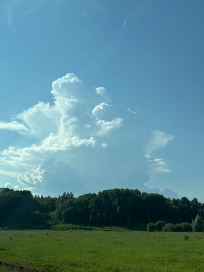 The image shows a wide, grassy field in front of a dense line of trees. Above the trees, a large, white, cumulonimbus cloud formation dominates the bright blue sky. The cloud is detailed and textured, with significant vertical development. The field in the foreground is lush green, with patches of shorter and taller grass. The trees form a dark green, undulating line across the middle ground, with some lighter green foliage visible where the sun hits them. The scene appears to be a rural landscape, possibly near the village of Gremyach, Russia, given the context provided. There are no people or animals visible in the frame. The overall impression is one of a natural, open landscape under a dramatic sky.