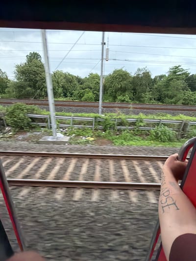 The image captures a view from a moving train through a window, looking out at a landscape with multiple train tracks. The foreground shows the blurred texture of the train's interior, with a hand visible on the right, holding a red bar, and displaying a tattoo on the arm. The middle ground features two sets of train tracks running parallel, separated by a green, overgrown embankment with a metal barrier. Beyond the tracks, a dense forest of green trees fills the background under a cloudy sky. The scene is consistent with the environs of Saphale, India, known for its proximity to natural landscapes and railway infrastructure.