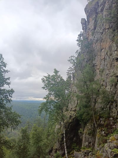 The image depicts a rugged, rocky cliff face on the right side, with sparse green vegetation clinging to its surface. Several trees are visible, some growing from the cliff itself and others in the foreground and on the left. Beyond the cliff and trees, a vast expanse of dense green forest stretches to the horizon, with a misty, overcast sky above. The scene appears to be a natural landscape, likely a mountainous or hilly region. Given the prompt's mention of "the city of Aigir, Russia," this location is a natural rock formation in that area, possibly a viewpoint overlooking the surrounding forest. No people or specific structures are visible.