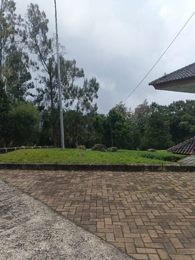 A brick-paved area transitions into a smooth concrete surface. Beyond a raised curb lined with green grass, diverse trees form a dense backdrop under an overcast sky. A tall, thin pole pierces the tree line. The corner of a building with a tiled roof peeks into the scene on the right. Large rocks are scattered in the grass. A thin wire spans from the building to the trees.