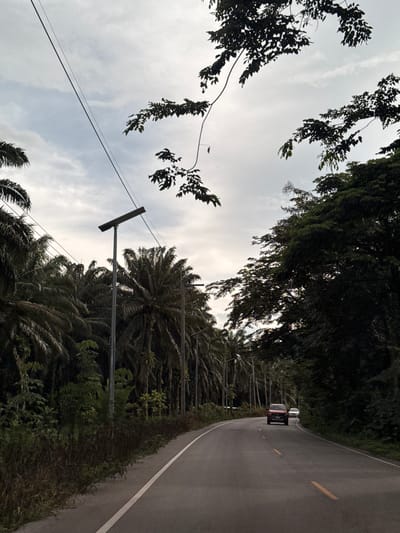 A paved road curves through a densely vegetated area, likely the outskirts of Ao Luek, Thailand. The sky is overcast with scattered clouds. Palm trees line the left side of the road, interspersed with lush green foliage. Solar-powered streetlights are visible along the roadside. On the right, a thick canopy of trees creates a dark, shaded boundary. Two cars are traveling on the road: a red SUV in the foreground and a white car further ahead. The road has white and yellow lane markings. The overall scene depicts a rural or semi-rural setting.