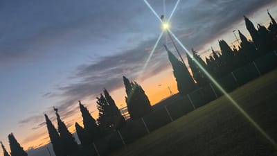 The image shows a twilight scene with a dramatic sky displaying hues of orange, purple, and blue, characteristic of sunset or sunrise. Tall, dark, silhouetted cypress trees are lined up along a fence, creating a dramatic edge to the landscape. A bright street lamp, positioned at the top of a pole, illuminates the scene with a strong lens flare. The ground appears to be a grassy field, possibly a sports ground, with a dark green hue. A fence runs along the middle ground, separating the trees from the field. In the far distance, a faint outline of hills can be seen against the brightly lit horizon. The overall perspective is angled, giving a sense of depth and motion. The location is identified as Venta De La Romera, Spain.