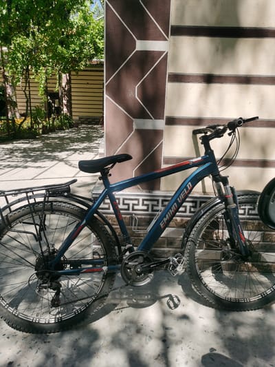 A blue EMKO VELO bicycle is parked outdoors against a beige and brown striped wall. The bicycle has a black seat, black handlebars with grips, and black pedals. The front and rear tires are visible, as is the chain and rear derailleur. A black rack is attached to the rear of the bicycle. The ground is paved with concrete tiles, and shadows from trees and the bicycle are cast on the ground. In the background, to the left, green trees with hanging grapes are visible, and a yellow flower bed. The overall scene suggests a sunny day in Karabair, Uzbekistan.