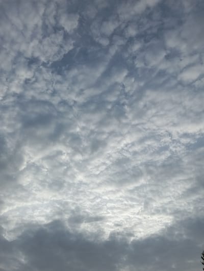A wide shot captures a sky filled with an overcast of fluffy, grey and white clouds. The clouds are dense, obscuring most of the blue sky, and appear to be illuminated by sunlight filtering through them, creating brighter patches in the upper portion of the frame. The lower part of the image shows darker, heavier cloud formations. The image appears to be taken from a ground-level perspective looking upwards. There are no visible people, animals, buildings, or distinct landmarks to identify a specific location within Бәйтерек, Kazakhstan, other than it is an outdoor scene. The lighting suggests it is daytime, possibly late afternoon or early morning, given the diffused light.