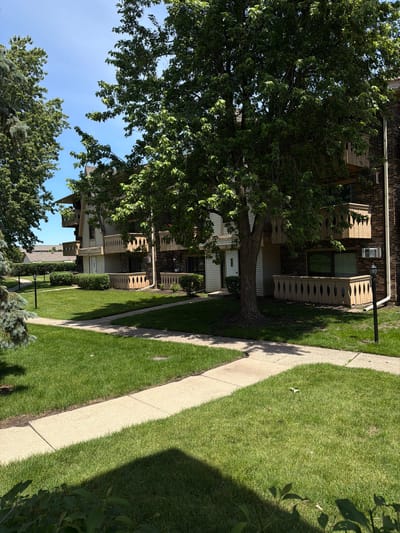 The image depicts an outdoor scene featuring a building with multiple stories, constructed with brick and siding. In front of the building, there is a well-maintained lawn and a paved walkway that curves through the grass. A large tree with lush green foliage stands prominently on the left side of the image, casting shadows on the walkway and lawn. The building has balconies with decorative railings. The sky above is clear and blue, suggesting a bright, sunny day. The overall setting appears to be a residential area, possibly an apartment complex or condominium complex, given the multi-unit building and the common green spaces. The time of day is likely daytime, due to the strong sunlight and shadows. There are no people visible in the image, and the scene appears calm and serene. No text is visible in the image.