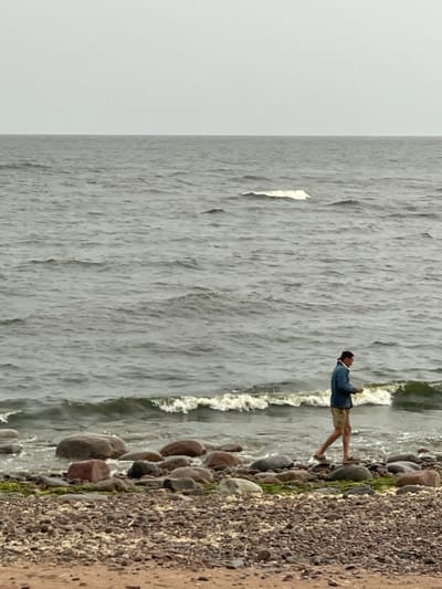 A man walks along the rocky shore of the Gulf of Finland in Luzhki, Russia, on a cloudy day. The man, wearing a blue jacket and light-colored shorts, is captured in profile, his gaze directed downwards. He is walking amidst a scattering of rounded rocks of various sizes, some partially submerged in the water, with a foamy wave breaking behind him. The sea stretches out to the horizon under a pale, overcast sky. The foreground is a mix of sand and pebbles.
