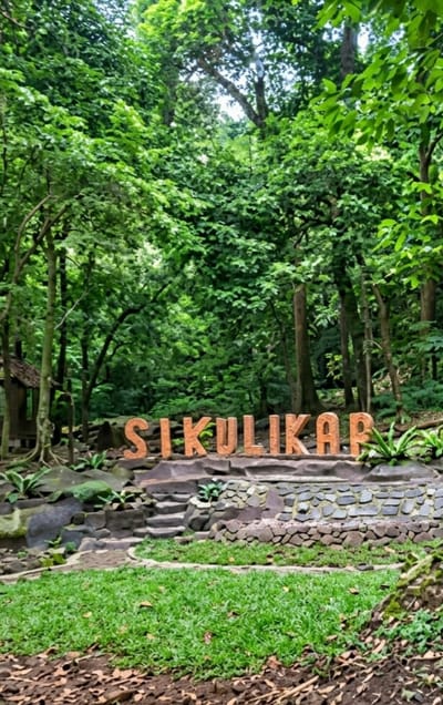The image depicts the "SIKULIKAP" sign in the city of Dolat Rayat, Indonesia. The sign, made of orange, textured letters, is positioned on a tiered stone structure surrounded by lush greenery. Behind the sign, dense forest foliage dominates the scene, with tall trees and various shades of green leaves creating a natural canopy. To the left of the sign, a small, rustic wooden structure with a thatched roof is visible, nestled among the trees and rocks. The foreground shows a well-maintained grassy area with fallen leaves scattered on the ground, indicating a natural, outdoor environment. The lighting suggests it is daytime, with dappled sunlight filtering through the trees.
