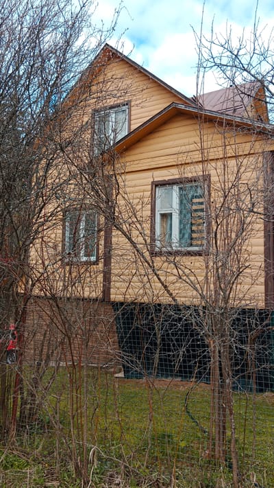 A two-story wooden house with yellow/tan horizontal siding and dark brown trim is prominently featured, partially obscured by a dense network of bare deciduous tree branches. The house has a brown corrugated metal roof and multiple windows with white frames; two are visible on the main facade and one on the upper gable end. The dark brown trim frames the windows and outlines the corners of the house.
In the foreground, a thin, green wire mesh fence runs along the bottom, behind which patches of green and dry brown grass cover the ground. The leafless branches of trees and shrubs, some with visible buds, dominate the lower and mid-sections of the image, suggesting late winter or early spring. To the far left, a small red object, possibly a mailbox or part of a gate, is partially visible through the branches. The sky above is a light blue with scattered white clouds, indicating daytime. The scene is static, with no human activity. There is no visible text in the image. The setting appears to be a rural or suburban residential area, consistent with the provided location context of "Былина Снт, Russia."