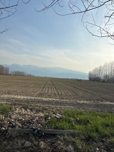 The image shows a cultivated field in Zlokuchene, Bulgaria. The field is characterized by parallel furrows running towards a distant treeline backed by hazy mountains. The sky is overcast. In the foreground, vegetation grows along the edge of the field, with a concrete post and black tubing also visible. No people are discernible in the image.