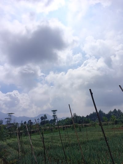 A vast field of green stretches toward a distant line of trees, with mountains fading into the background. Thin, dark poles stand upright in the foreground, punctuating the landscape. Above, a cloudy sky fills the frame, with patches of blue peeking through. The light is diffuse, creating a soft, overcast ambiance.