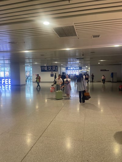 The image shows a large, tiled, open space inside a building in the city of Jinhua, China, at 29.38 latitude and 120.04 longitude. The space has a white tiled ceiling with a grid of metal beams. A woman with long black hair wearing a light blue shirt and blue jeans is pulling a rolling green suitcase. A woman with brown hair is walking beside her, carrying a pink bag in her right hand and a light blue bag in her left. A young girl in a blue and white dress is walking behind them. There are several people in the background, walking or standing in the distance. On the left wall, there is a bright blue sign with the word "FEE". On the wall on the right, there are multiple signs in Chinese. There is also a sign that reads "Dining Area". There is a large, white rectangular area with a sign in front of it that says "Dining Area". It appears to be a food court or other type of dining area.